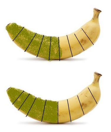 banane02.JPG